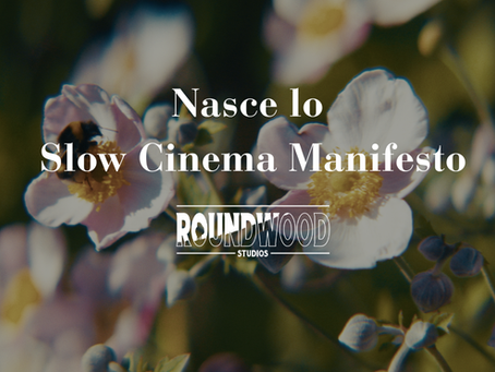 Nasce lo Slow Cinema: il manifesto per un cinema più reale, responsabile e radicato nei territori