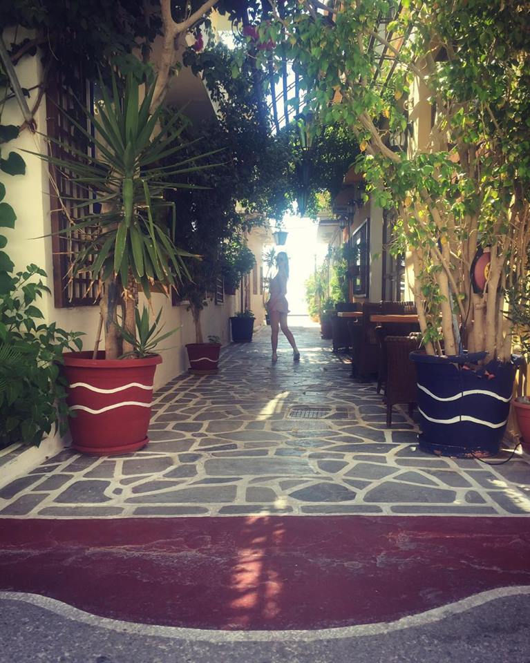 14696790_10205589255890667_681029861_n