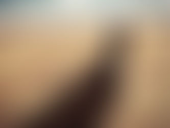 Como funciona o processo do LUTO ?