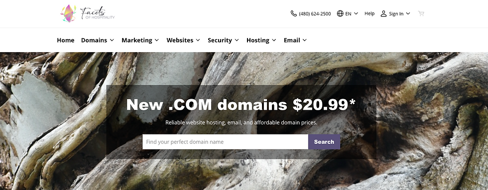 Where to find a custom domain at Facet Digital Tools from your marketing team at Facets of Hospitality