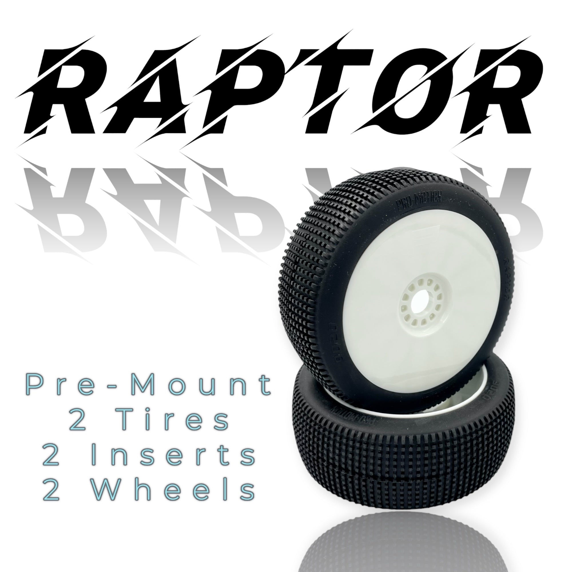 Pro-Motion Raptor 8th Scale Buggy Pre-Mount