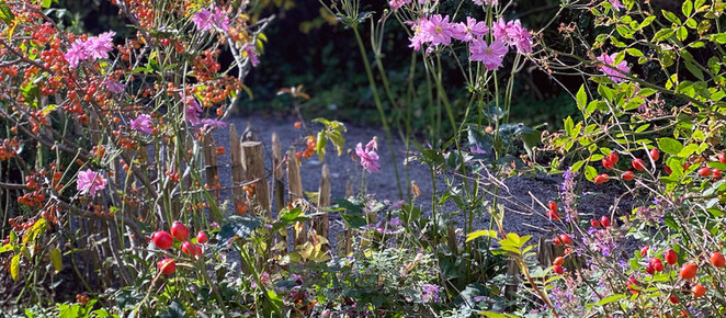 GLÜCKSMOMENTE IM HERBST oder 10 wunderbare Gründe, den Herbst zu lieben