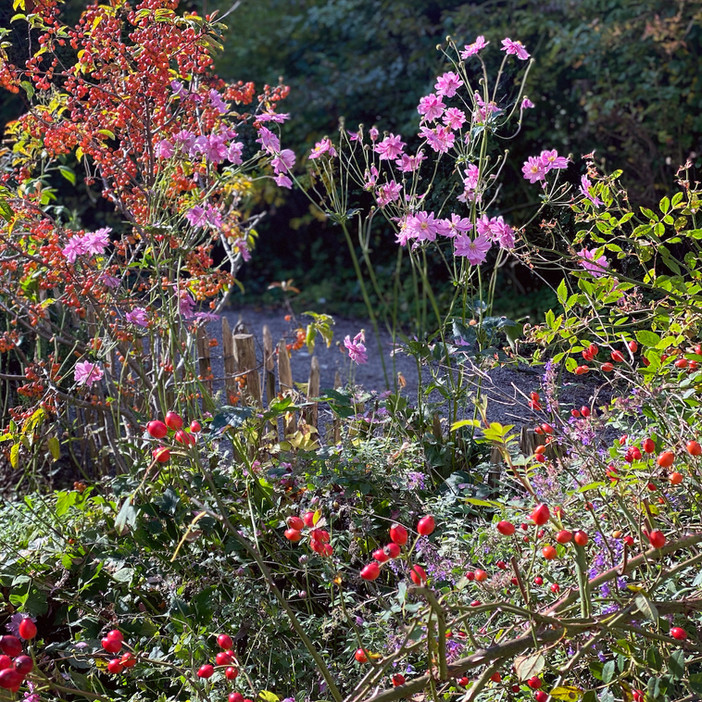 GLÜCKSMOMENTE IM HERBST oder 10 wunderbare Gründe, den Herbst zu lieben