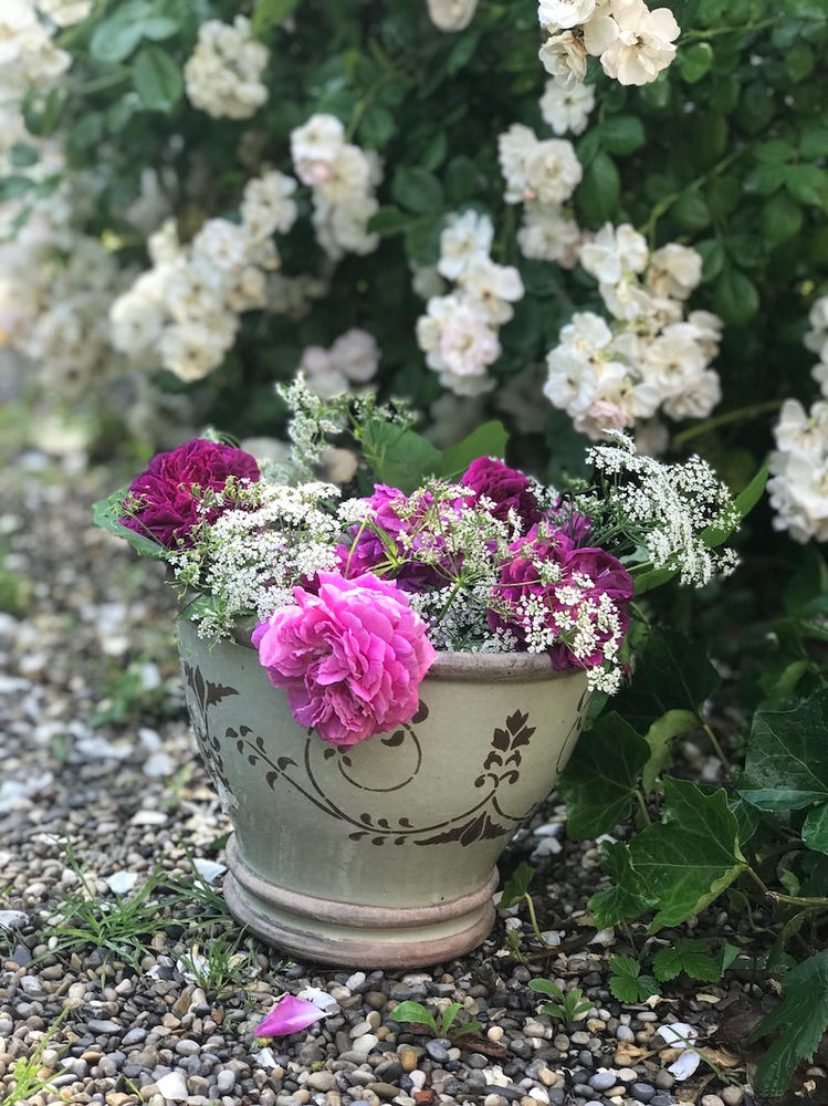 Die besten Schnittblumen aus dem eigenen Garten
