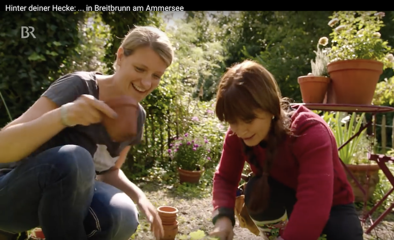 Sabrina Nitsche im Cottage Garten