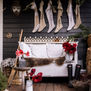 FESTLICHE COTTAGE WEIHNACHTEN – AMARYLLIS PFLANZEN UND PFLEGEN für schönsten Blütenzauber im Winter