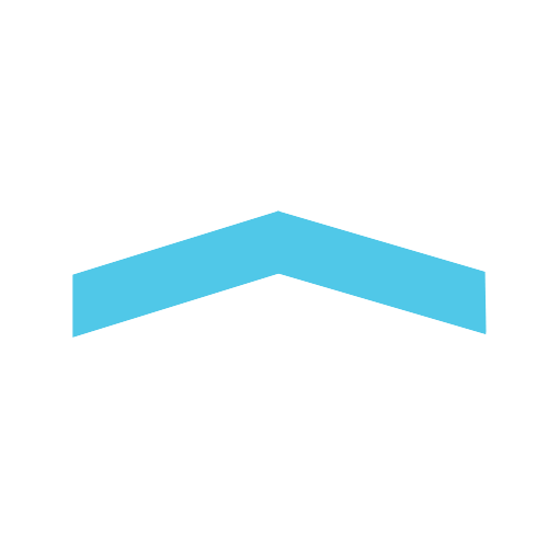 Symbol Variant 1.png