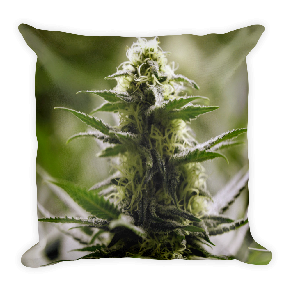 420 Pillow