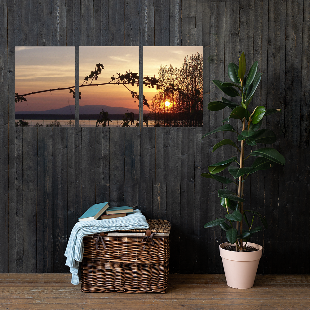 Sleeping Lady Triple Canvas Set