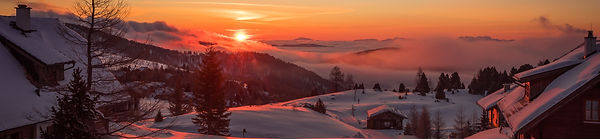 michael-niessl-KraoHdRYrRE-unsplash_edited.jpg
