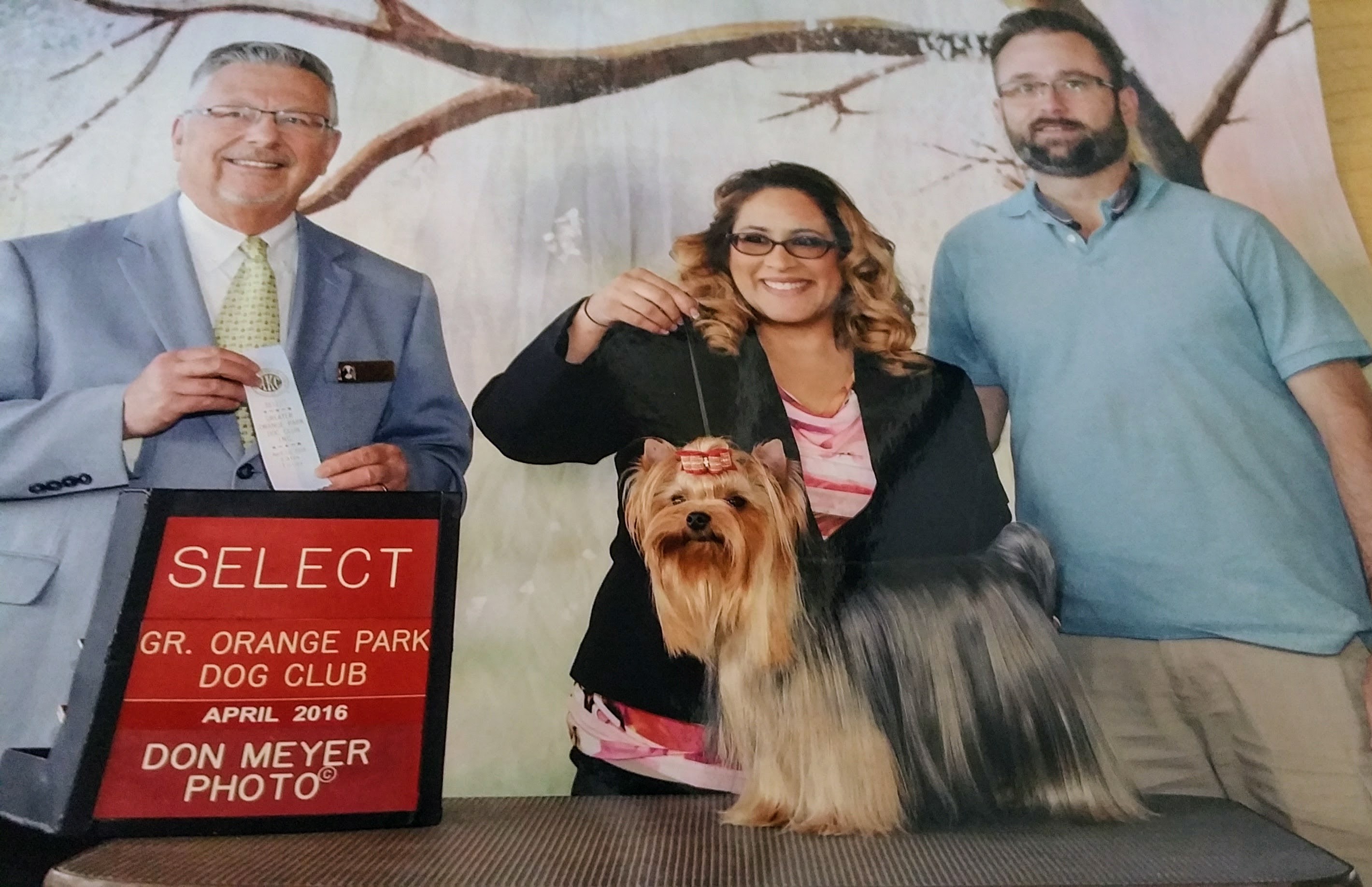 Winner at Orange Park Dog Club