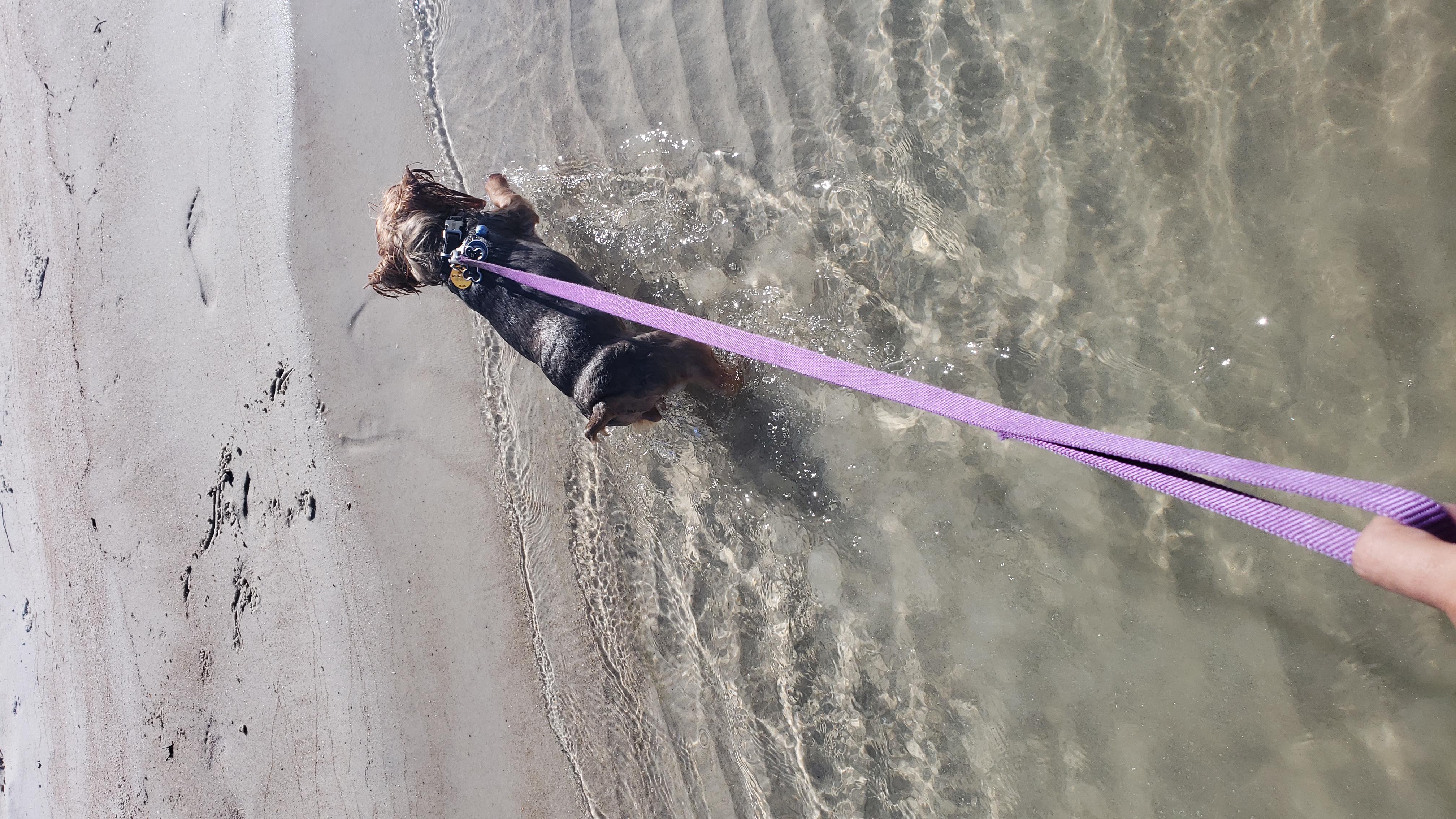 Beach Pic