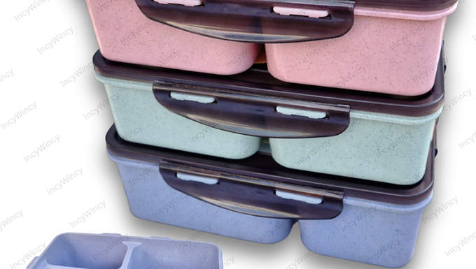 3 Compartment Lunch Box for Kids / Adults ( w/ spoon/fork)