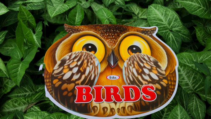 Bird Colouring Book for kids with dot to dot game