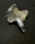 Thumbnail: Prasiolite Claw Earrings