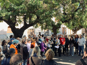 La plaça que estimam: aturem la tala
