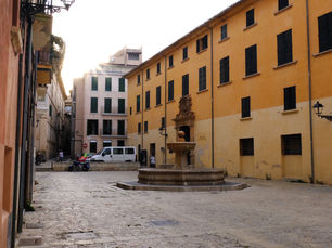 Visites guiades al barri