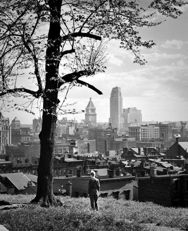 Cincinnati Skyline