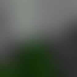 Selector Art Challenge - Fallout Inspired art work.