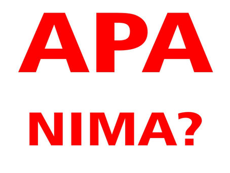 APA uslubi nima?