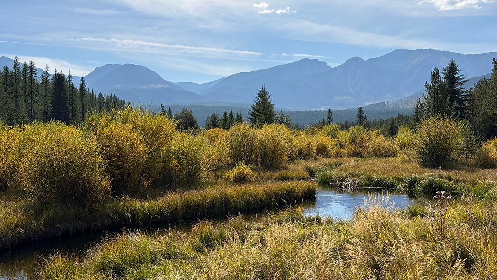 Golden autumn wetland with mountains in the distance