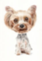 Watercolour dog painting of Yorkshire Terrier in caricature form.