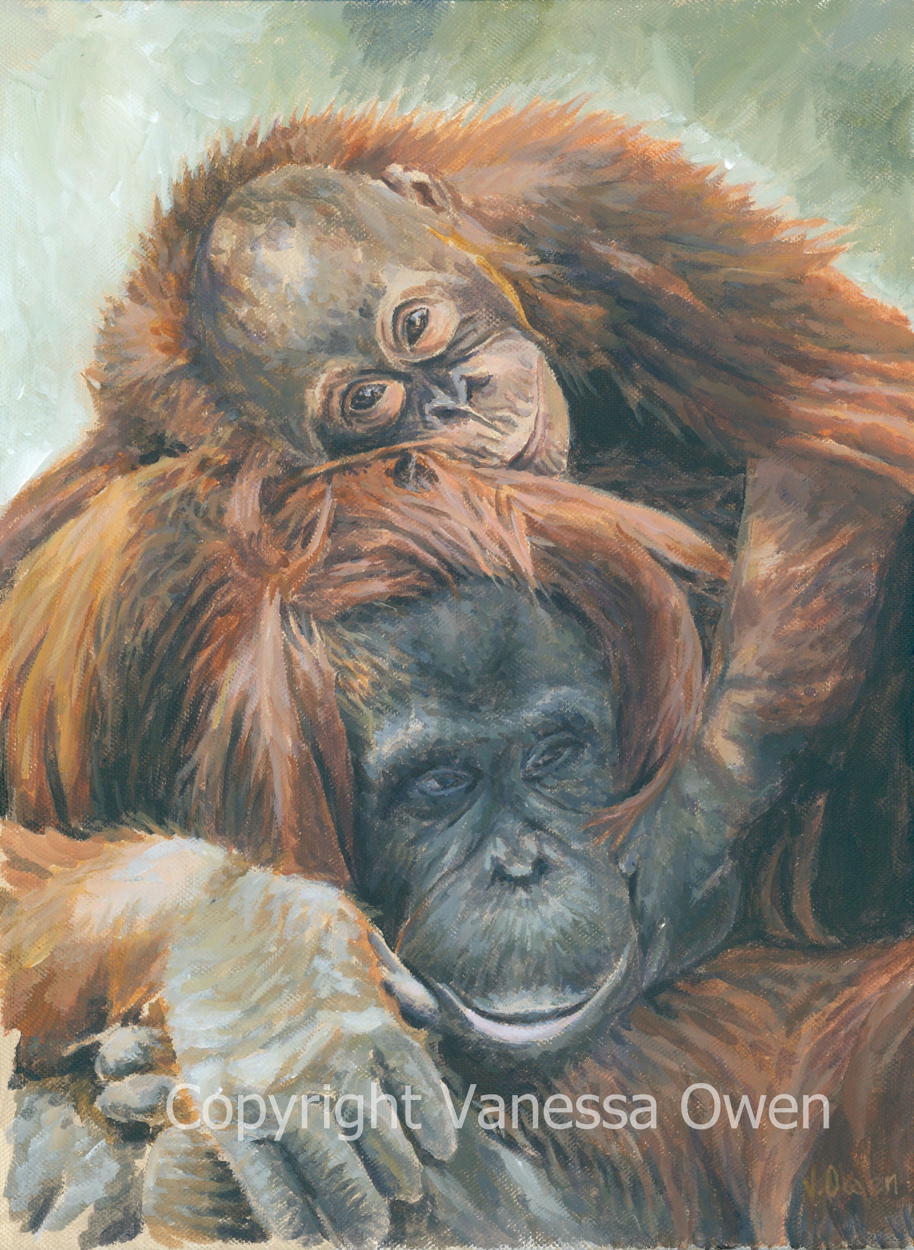 Holding On (Limited Edition)