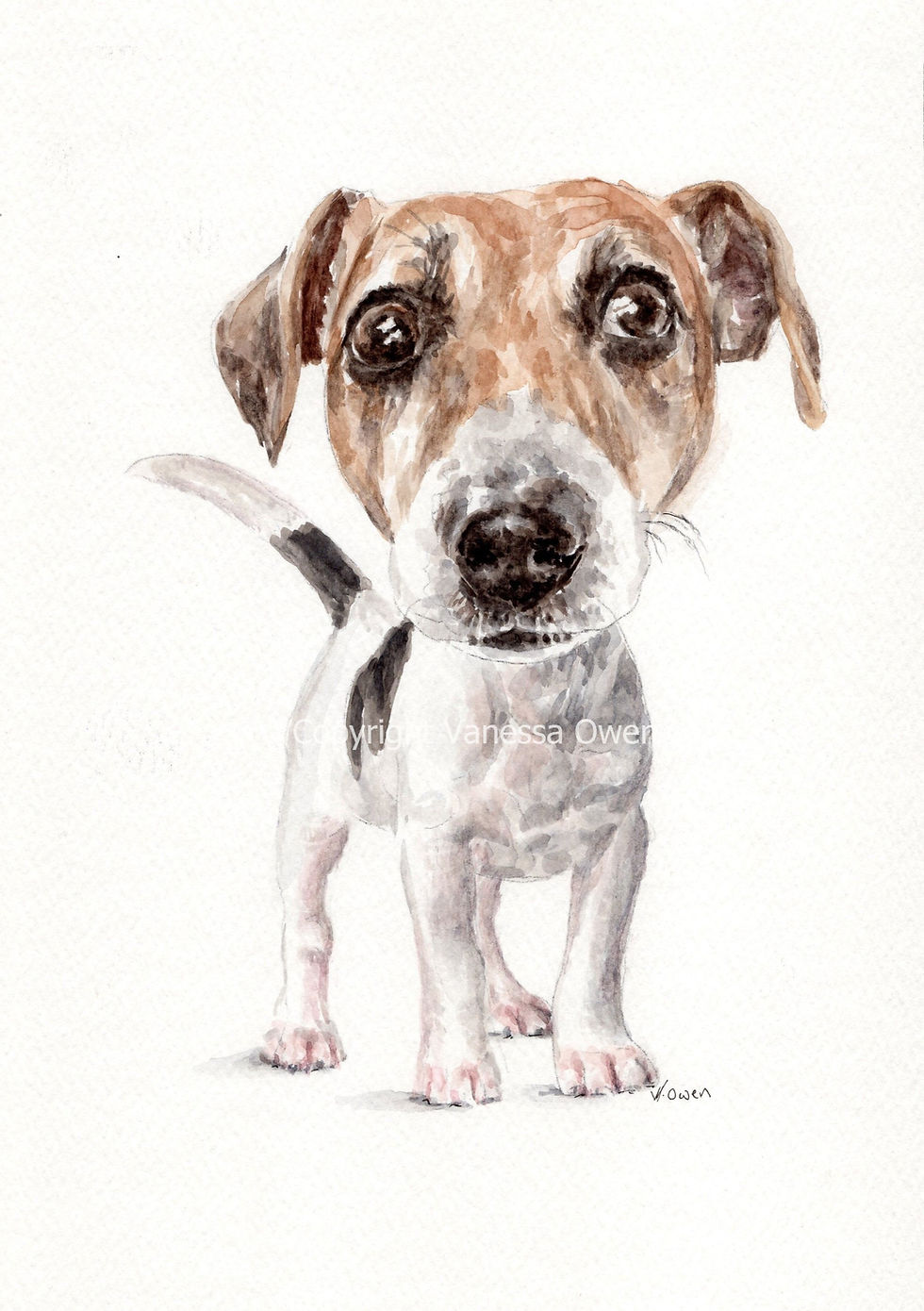Animal art print of a watercolour Jack Russell dog painting, in caricature form.