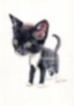 Watercolour painting of a kitten in caricature form.