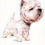 Thumbnail: Watercolour dog painting of West Highland White Terrier in caricature form.