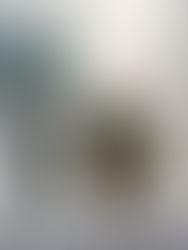 Ювілейна виставка геніальної Неллі Ісупової