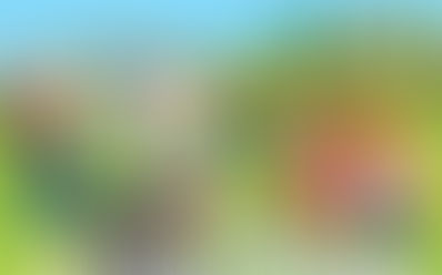 LHCA Community Meeting