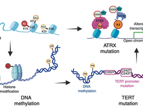 Glioblastoma at the crossroads: current understanding and future therapeutic horizons
