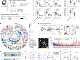 High-throughput identification of repurposable neuroactive drugs with potent anti-glioblastoma activity