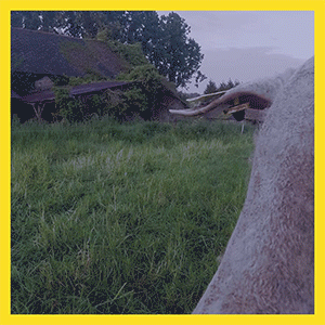 _05-CHANGEMENT-HEURE_1.gif