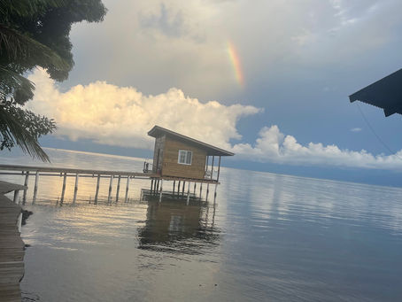 The Crucial Role of Oceans in Our Lives