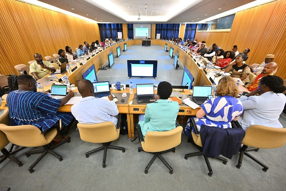 Moçambique entre os especialistas que refletem sobre as dinâmicas fundiárias em áfrica