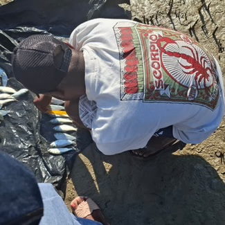 Centro Terra Viva aprimora colheita de dados sobre a pesca artesanal