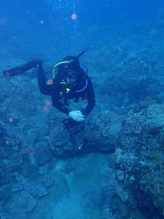 Monitoria de Corais Reforça Cooperação para a Conservação Marinha no Parque Nacional de Maputo