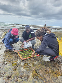 CTV Realiza Monitorias de Plataformas Rochosas e Reciclagem dos Monitores de Tartarugas Marinhas no Parque Nacional de Maputo