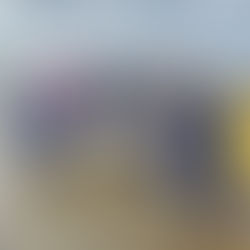 CTV Realiza Monitorias de Plataformas Rochosas e Reciclagem dos Monitores de Tartarugas Marinhas no Parque Nacional de Maputo