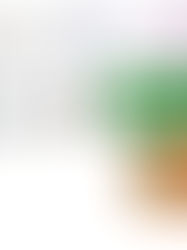 Comunicado de Imprensa