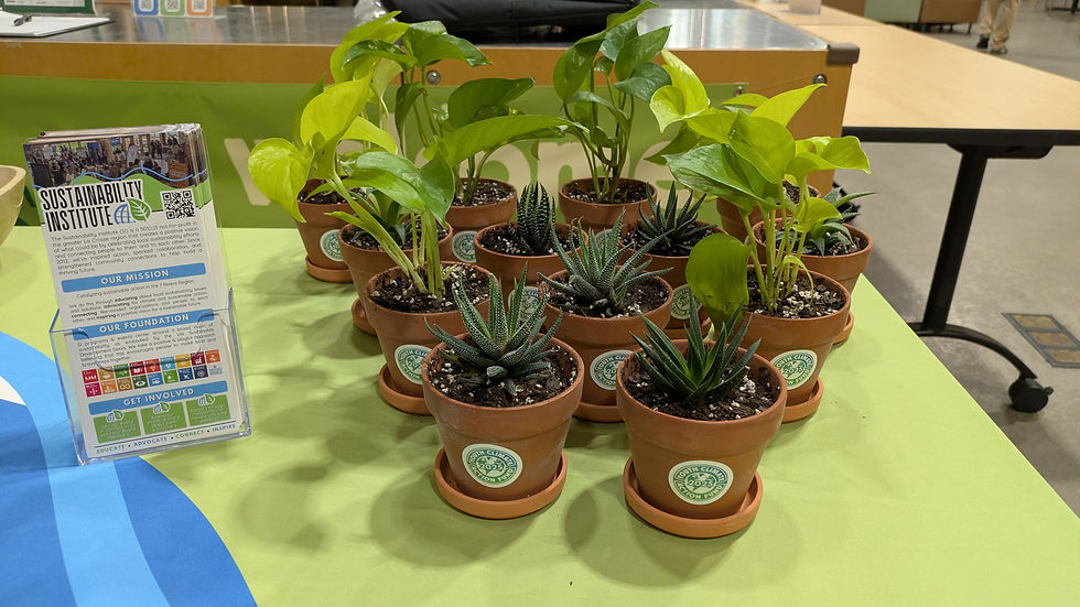 PXL_20251120_235439273.MP