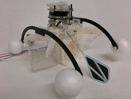 Row-Bot – en stillsam miljöhjälte som tar havens föroreningar med ro!