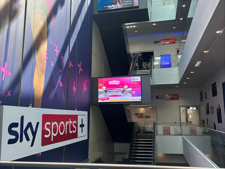 STAN Mentoring Success