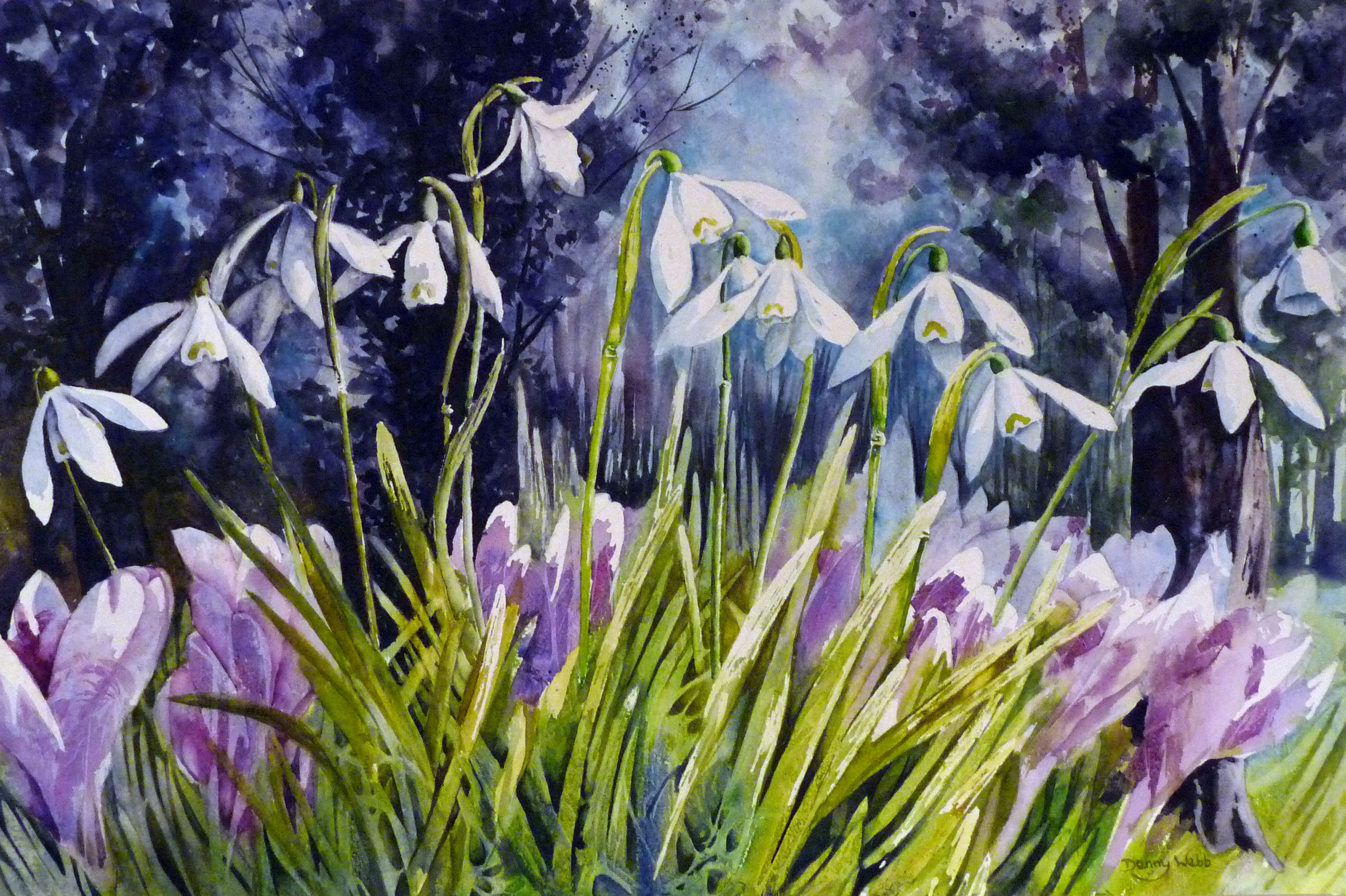 Original watercolour painting of snowdrops & crocuses in a woodland setting