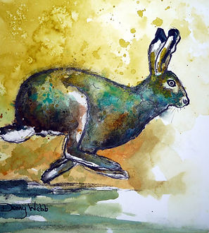 Hares---In-the-fast-lane!!.jpg