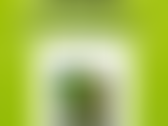 Gemmotherapie die schwarze Johannisbeere (rigus nigrum) Wirkung, Indikationen, Anwendungen