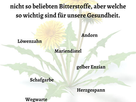 Bitterstoffe wie wichtig sind sie für unsere Gesundheit