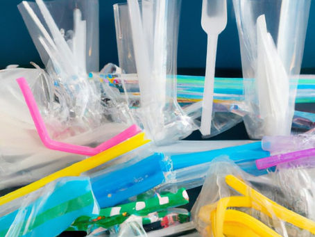 The Misunderstood Cost of Canada's Single Use Plastic Ban: What Business Owners Need to Know